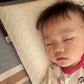 《Clevamama護頭型幼童枕》,小小試用員體驗大成功