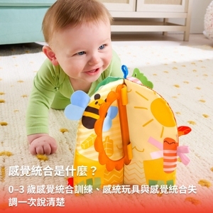 感覺統合是什麼？0–3 歲感覺統合訓練、感統玩具與感覺統合失調一次說清楚