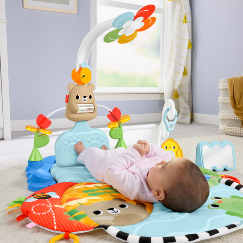 費雪三合一健身器