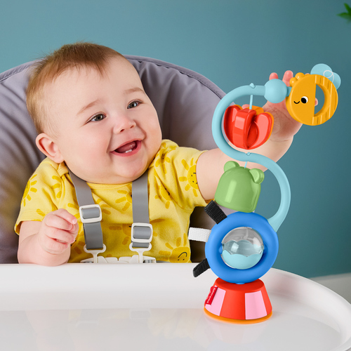 費雪感官吸盤玩具