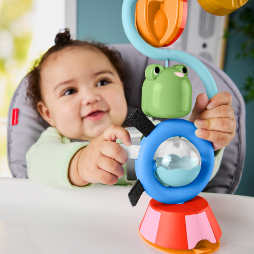 費雪感官吸盤玩具