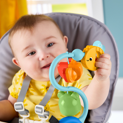 費雪感官吸盤玩具