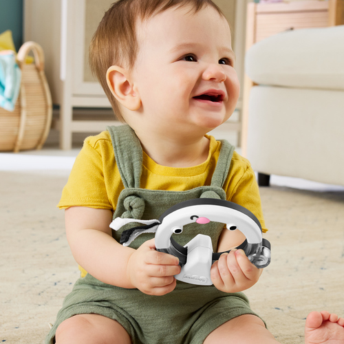 費雪感官探索圈圈搖鈴-四款選擇