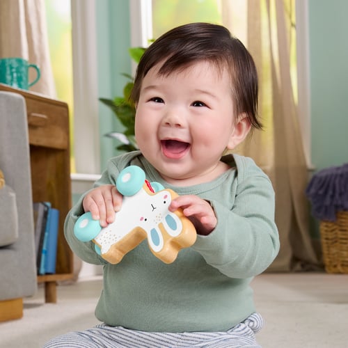 【費雪組合】費雪木製玩具推著走小兔子+曼陀羅積木