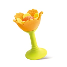 德國Hape 安撫花瓣固齒器