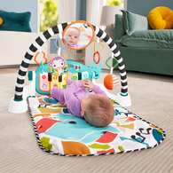 【費雪組合】可愛動物鋼琴健身器+趣味遊戲咖啡杯