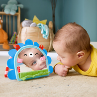 費雪小刺蝟互動鏡