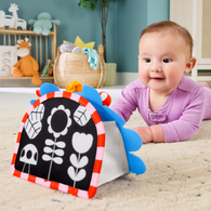 費雪小刺蝟互動鏡