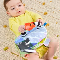 費雪感官探索四季動物布書