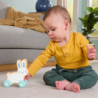 【費雪組合】費雪木製玩具推著走小兔子+曼陀羅積木