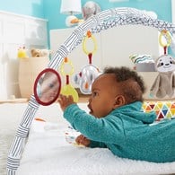 費雪感官訓練可愛動物健身器(福利品)