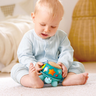 德國Hape 烏龜音樂盒