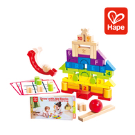 德國Hape 積木組合80件