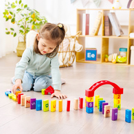 德國Hape 積木組合80件