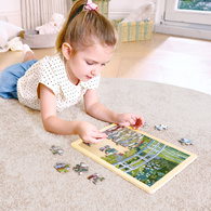 德國Hape MET拼圖