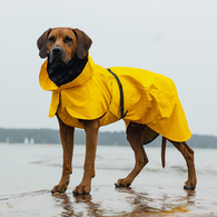PAIKKA 寵物用品|全方位機能反光防水雨衣-6色選擇
