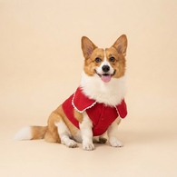 Poshüpets 寵物衣服｜童話序語紅帽披巾斗篷