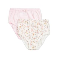 花仙子女童三角褲-2入 (銀離子抗菌內襠)