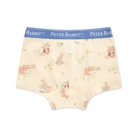 野餐比得男童平口褲-2入 (銀離子抗菌內襠)