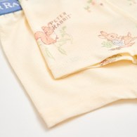 野餐比得男童平口褲-2入 (銀離子抗菌內襠)