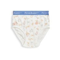 松果比得男三角褲-2入 (鋅纖維布)