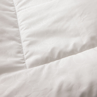 四季舒柔被胎-3M新雪麗系列+悅讀比得兔冬夏兩用被 105x135cm