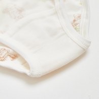 花野之間女三角褲-2入 (水晶紗)