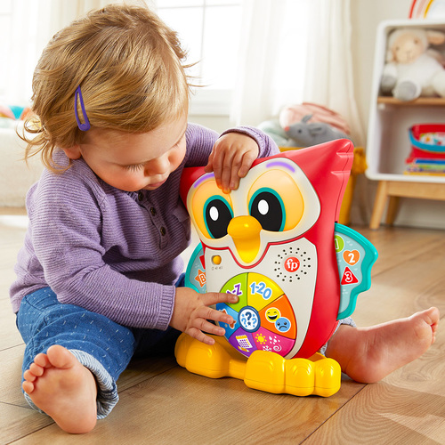 費雪LINKIMALS聲光學習小貓頭鷹