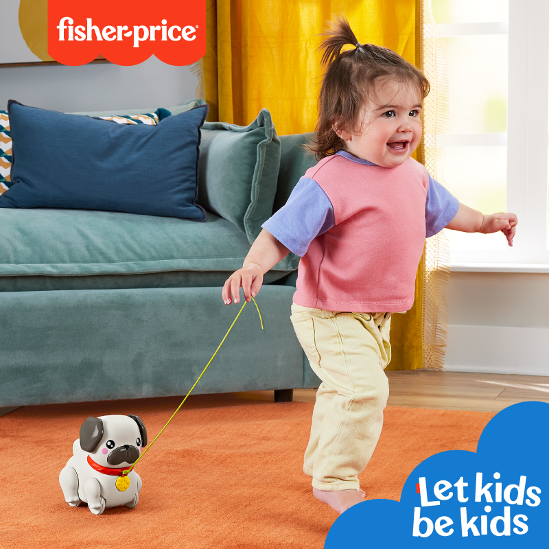 費雪拉拉八哥犬