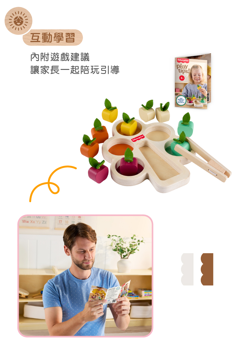 奇哥玩具推薦：費雪木製蒙特梭利分類樹