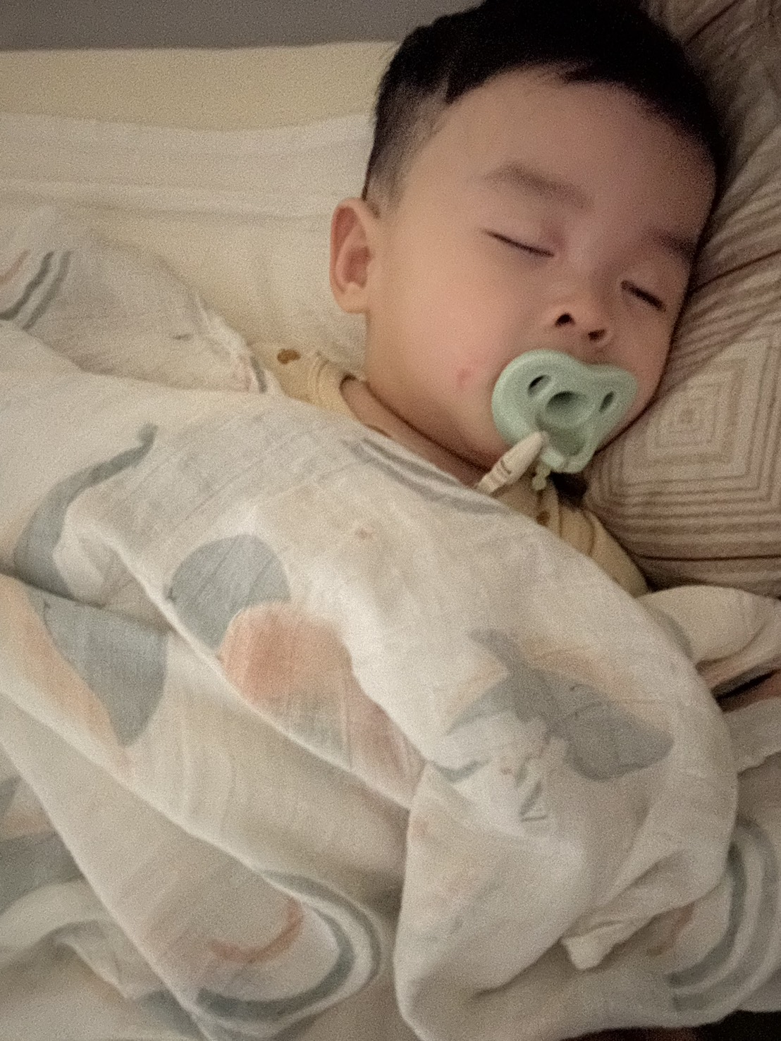 bimbidreams 多功能竹纖維紗布包巾